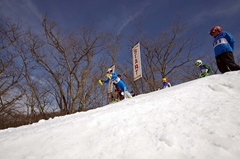 第53回東京都百貨店スキー大会