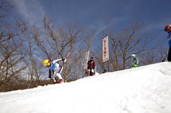 第53回東京都百貨店スキー大会