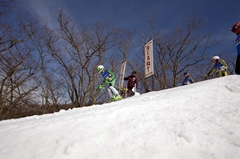 第53回東京都百貨店スキー大会