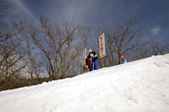 第53回東京都百貨店スキー大会