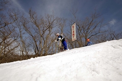 第53回東京都百貨店スキー大会