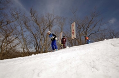 第53回東京都百貨店スキー大会