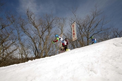 第53回東京都百貨店スキー大会