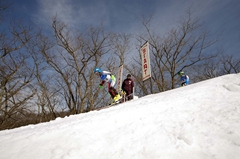 第53回東京都百貨店スキー大会