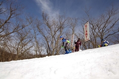 第53回東京都百貨店スキー大会