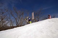 第53回東京都百貨店スキー大会