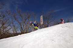 第53回東京都百貨店スキー大会