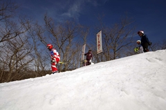 第53回東京都百貨店スキー大会