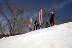 第53回東京都百貨店スキー大会