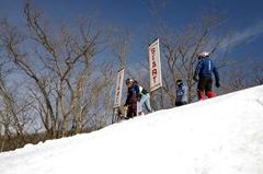 第53回東京都百貨店スキー大会