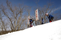 第53回東京都百貨店スキー大会