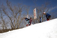 第53回東京都百貨店スキー大会