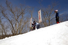 第53回東京都百貨店スキー大会