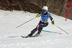第53回東京都百貨店スキー大会