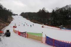 第54回東京都百貨店スキー大会