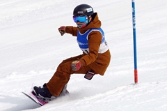 第55回東京都百貨店スキー大会